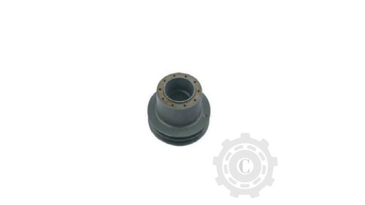 [CP067334] Fulie 798546