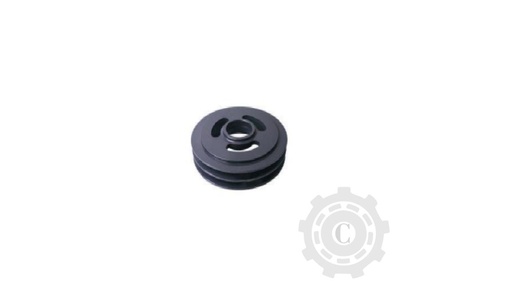 [CP067338] Fulie 675902