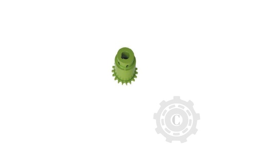 [CP067374] Pinion 629982