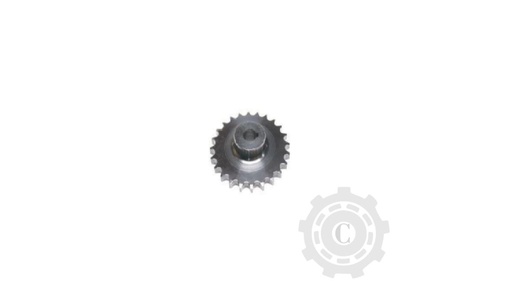 [CP067395] Pinion 748596