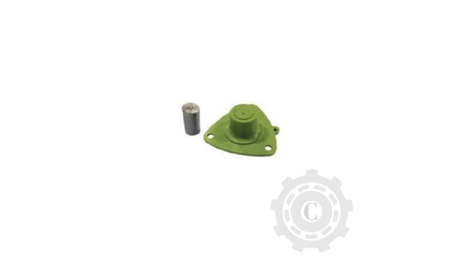 [CP067586] Cilindru Variator 649666
