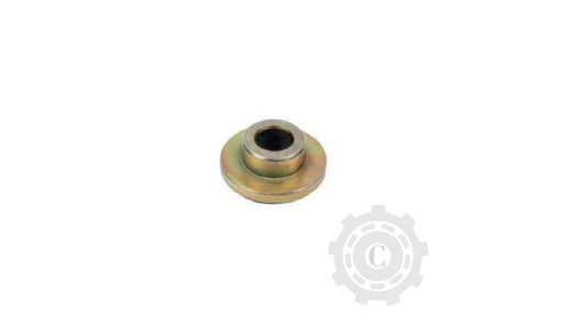 [CP067738] Bucsa 065295