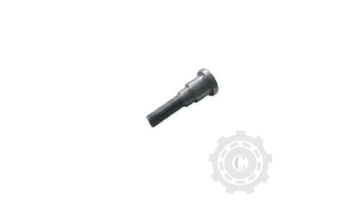 [CP067750] Bolt 680577