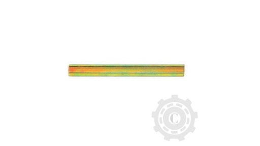 [CP067756] Bucsa 655369