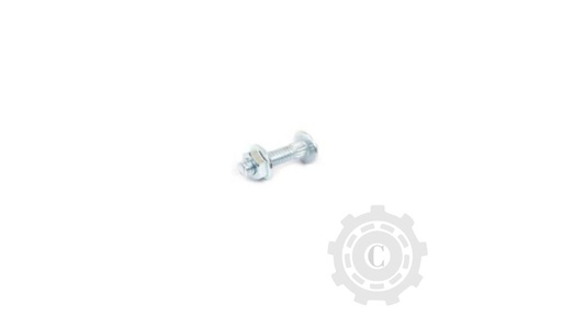 [CP067760] Surub 626406