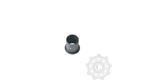 [CP067810] Bucsa 008560