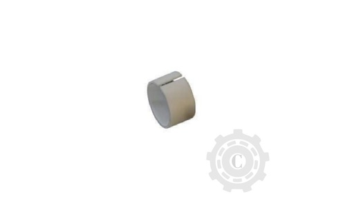 [CP067813] Bucsa Org 603271