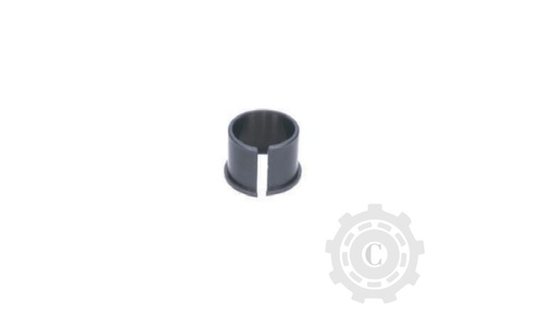 [CP067826] Bucsa 670278