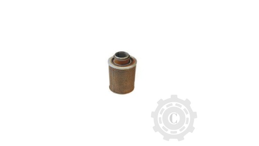 [CP067874] Filtru Aer 723561