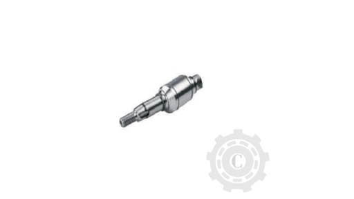 [CP067953] Arbore Excentric 80747864