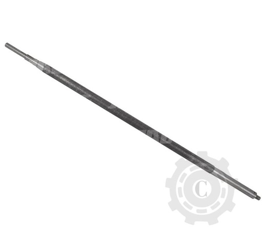 [CP067981] Ax 84455783