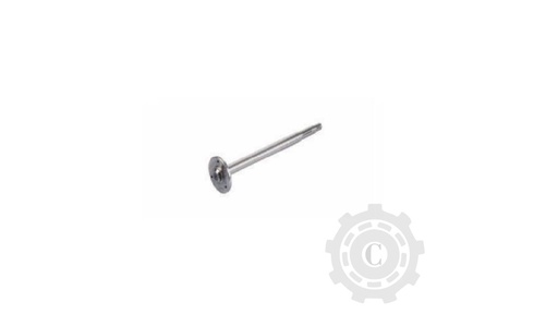 [CP067985] Ax 89514437