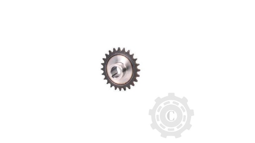 [CP068163] Pinion 84981224 (Z-24)
