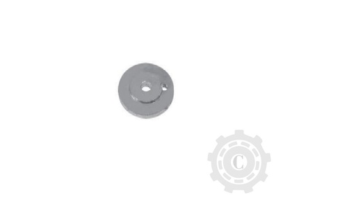 [CP068333] Capac 80482744