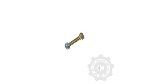 [CP068341] Surub 10903334