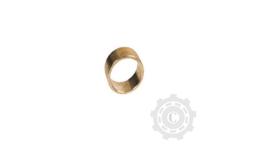 [CP068414] Bucsa 300037722