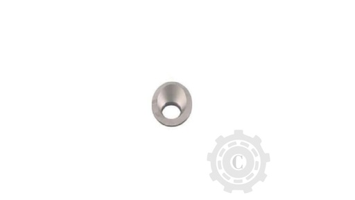 [CP068418] Excentric 300114622