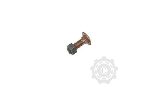 [CP068477] Surub 300015836