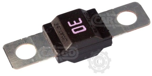 [CP069318] SIGURANTA FUZIBILA 30A