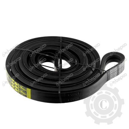 [CP069751] CUREA 667651