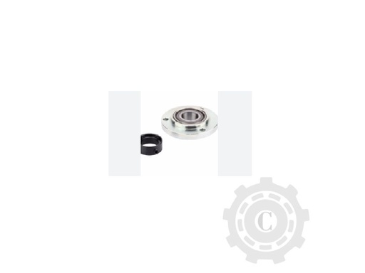 [CP074508] UNITATE CU RULMENT