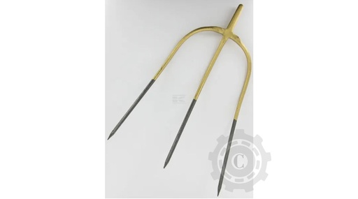 [CP074872] 2554KR FURCA 3 DINTI