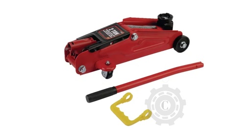 [CP076386] G2002 CRIC 2T