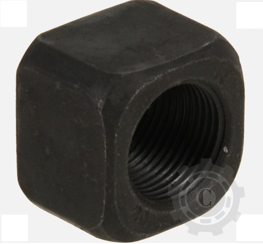 [CP079214] PIULITA SENILA M20