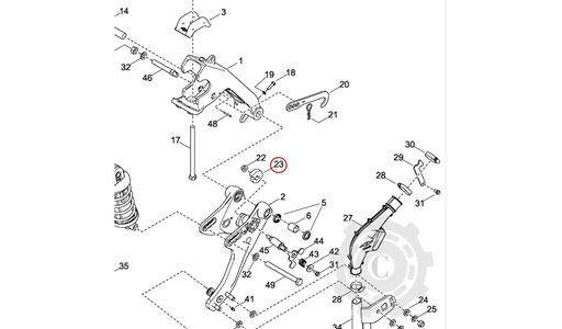 [CP079354] 710175802