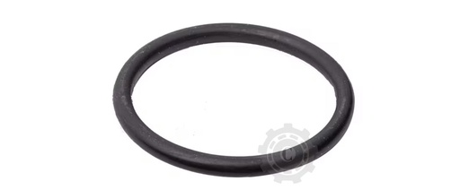 [CP079536] INEL 0 SUPAPA POMPA ZETA