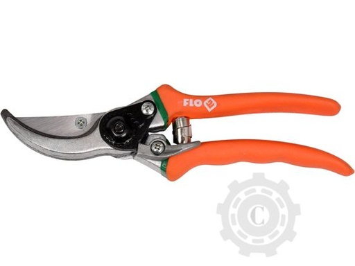 [CP079927] FOARFECA 99203