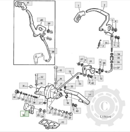 [CP080989] PARGHIE L33318