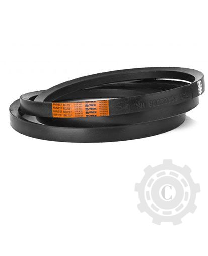 [CP081477] 344311127 CUREA