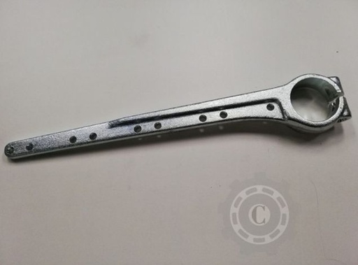 [CP081483] 321219951