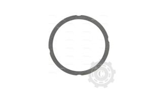 [CP081543] GARNITURA CHIULOASA SDF