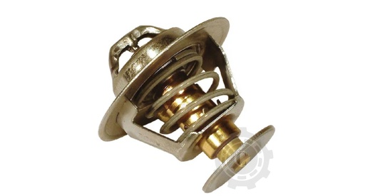 [CP082018] TERMOSTAT RE517011
