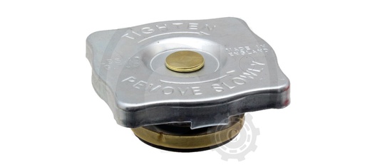 [CP082126] BUSON RADIATOR CNH