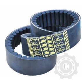 [CP082194] CUREA 000667457.0