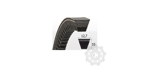 [CP082277] CUREA XPA 982 LW OPTIBELT 
