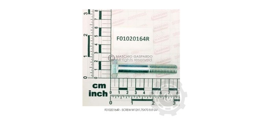 [CP083108] SURUB M12X1.75X70 F01020164