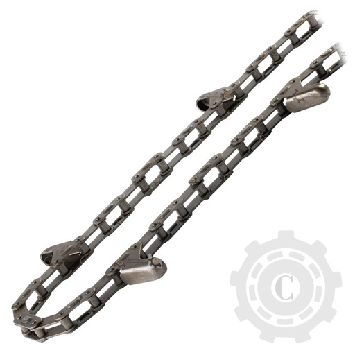 [CP083274] ZALA LANT CA2060 COTITA