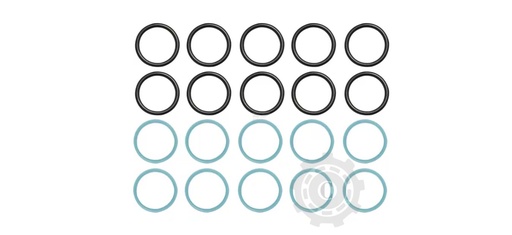 [CP083293] Set garnituri AL205022