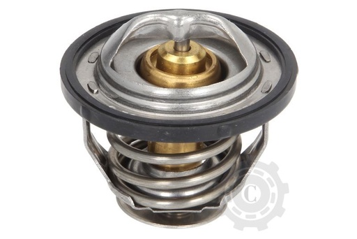 [CP083444] TERMOSTAT 320-04618-AN