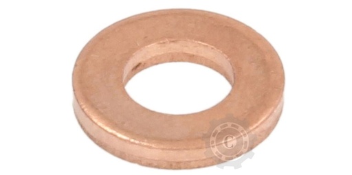 [CP083465] SAIBA INJECTOR 