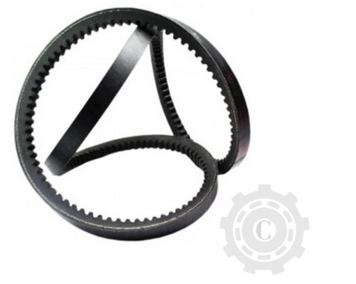 [CP083657] CUREA R73784