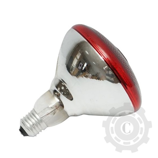 [CP083732] BEC PENTRU INCALZIRE PUI