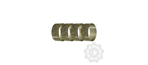 [CP083867] CUZINETI BIELA R1