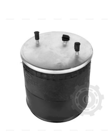 [CP084098] PERNA AER 