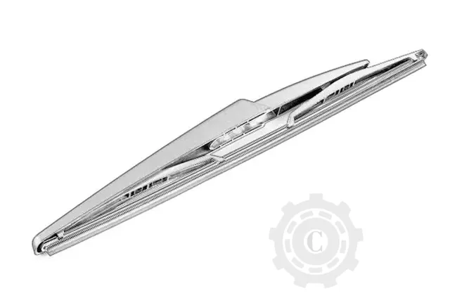 [CP084773] Stergator