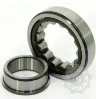 [CP084806] RULMENT NJ220 EM1C3